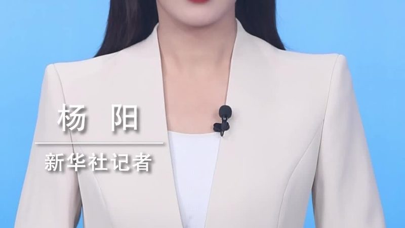 BI与大数据结合：数据中台构建的关键差异解析